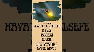 Ateş Böcekleri Nasıl Işık Yayar? #nature #doğa #firefly #atesbocegi #shorts