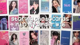 storing photocards #16!! twice, nct, le sserafim, & more!