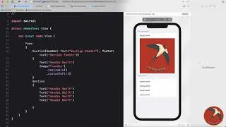 SwiftUI | Arabic | Form Header and Footer