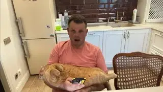 Сказал правду ! У меня 10 карточек 🤣Томас кайфует