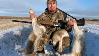 Hare Hunting: Highlights of the 2024-2025 Season