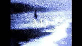 [FREE] Frank Ocean x Lil Peep *melancholic* Type Beat