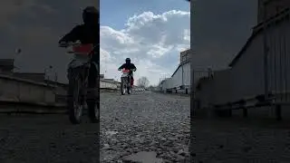 Рычит как надо🐅 