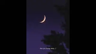 (FREE) Lo-fi Type Beat - if you wanna