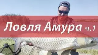 Рыбалка в Одесской области, ловля дикого амура на реке Ташлык