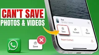 How to Fix Can't Save Photos and Video from WhatsApp Problem | Save Pic and Video from WhatsApp