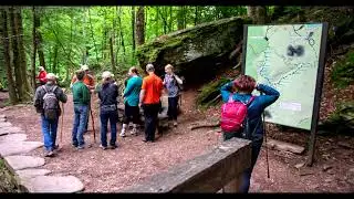 Ricketts Glen Falls - June 2022 slideshow (H.O.)