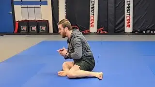 Hip and Knee Mobility Flow