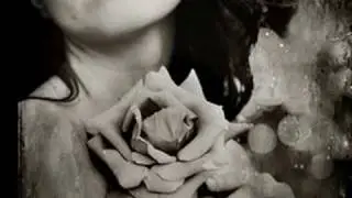 marina heredia *rosa tardia by ema