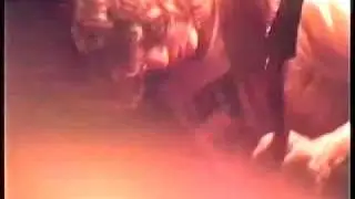 The Spunk Bubbles - Ace Of Spades