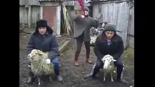 Дусай