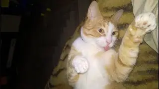 ГРУСТНОЕ ВИДЕО ПРО ОДНОГО МАЛЬЧИКА