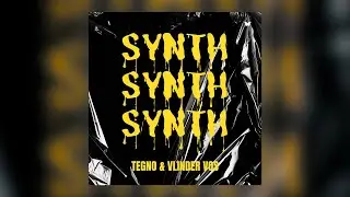 VLINDER VOS - SYNTH SYNTH SYNTH