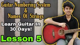 Numbering System For Fingers, Frets and Strings | Learn Guitar in 30 days (HINDI) | Day 2 Lesson 5