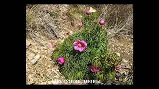 02-05 мая 2019 г. Поездка по Алтайскому краю. День 4 мая