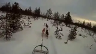 Huskytour in Finland 2014