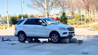 IDIOTS IN CARS 