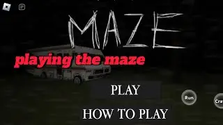 Playing the maze+got a secret badge