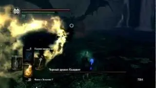 Black dragon Kalameet tail cut easy with any weapon in Dark Souls PTDE