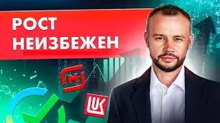 ТОП 7 перспективных акций РФ на 2024 год