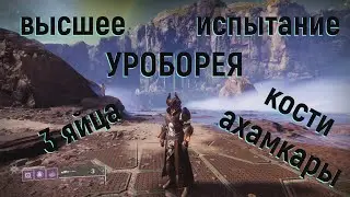 DESTINY 2 . Высшее испытание - Уроборея . Кости и яйца .