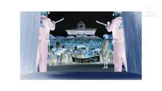 Madagascar Candyman in G Major