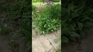 Дачные дела
