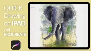 Drawing Elephant on the iPad using Procreate !