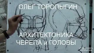 Архитектоника черепа и головы