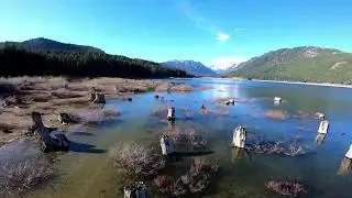 Shallows