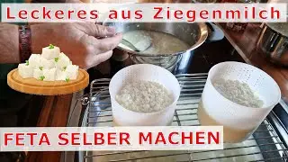 Ziegenmilch verarbeiten: Feta selber machen - Teil 1
