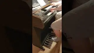 I bought an organ..