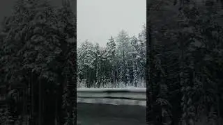зимушка ❄️🤎 
