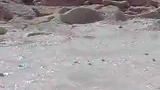 Mud pots
