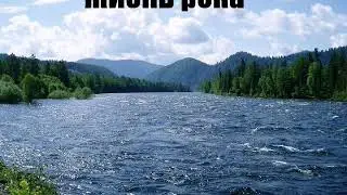Стих. Жизнь река
