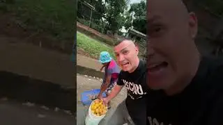 Colombia el País Del Mango 🌳🥭