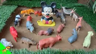 "Muddy Rescue Adventure! Saving Wild & Farm Animals with Mickey Mouse 🐘🐑🦓 | Dino World TV"