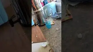 Кот разнес пол кухни #Tik Tok #Shorts #Тик Ток #ПриколКоты #Catstiktok