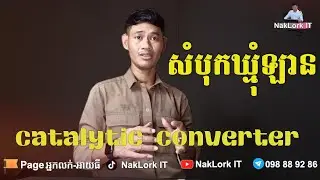 តើសំបុកឃ្មុំរបស់ឡានសំខាន់ដែរឺទែ
