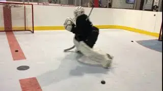Goalie Training xSynthetic Ice #6 | xHockeyProducts