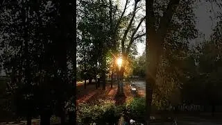 #мудрость #словасосмыслом #цитаты