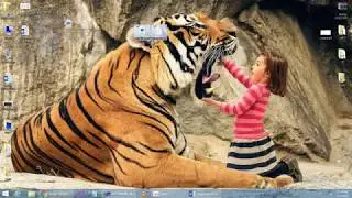 CS411 Assignment 2 Complete Solution Part 2 of 2 due date 22-05-2018