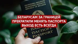Belarusians are no longer receiving passports abroad: what to do? 