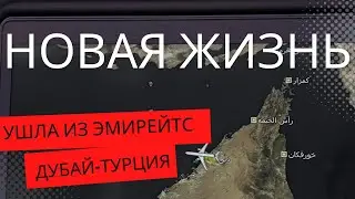 Перелет из Дубая в Турцию, перевес багажа, новая квартира