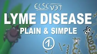 Lyme Disease - Plain and Simple (Part 1)