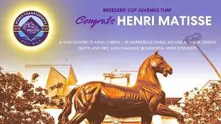2024 Breeders' Cup Juvenile Turf - Henri Matisse