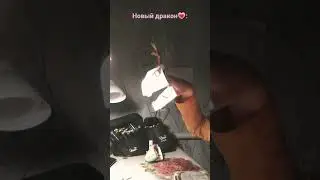 кто заметил дракона, на заднем фоне, тому поставлю лайк😏😏😏❤️❤️💗❤️💗😈😈🏳️‍🌈🏳️‍🌈💛💛💛💛💙💛💙💛💙💛💙💛💙