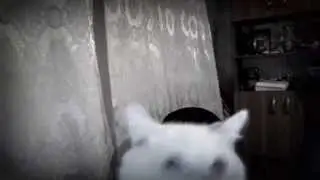 My Edited Video