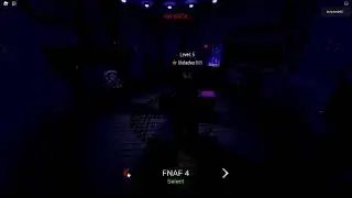 FNAF: Coop