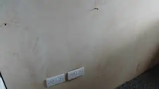 June 2024 Vlog Update